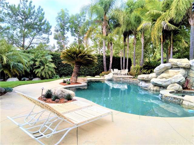 7543 Avila - Photo 1