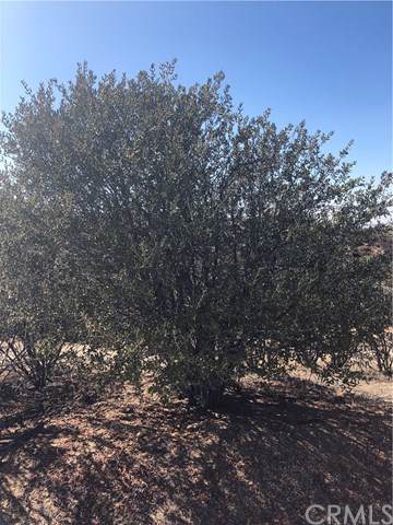 1 Hidden Creek Road - Photo 1