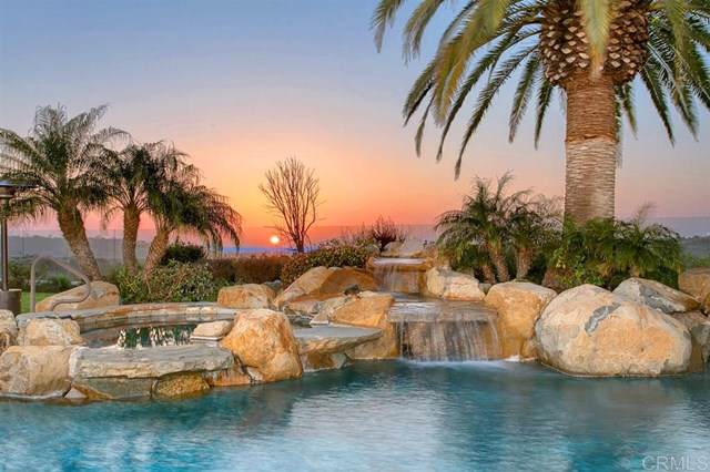 4532 Rancho Del Mar Trail - Photo 1