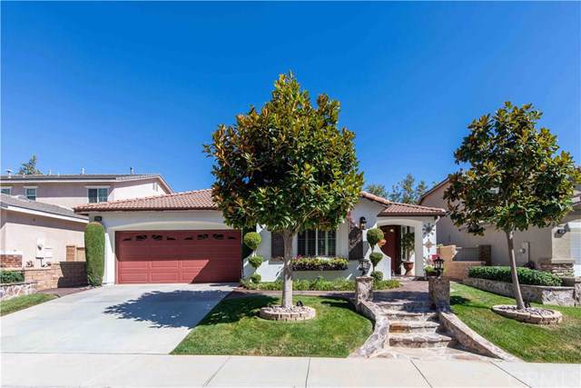 26687 Chamomile Street - Photo 1