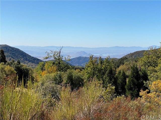 0 Pine Bench Rd - Photo 1