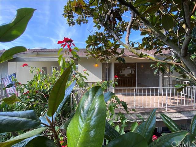 84 Calle Aragon - Photo 1