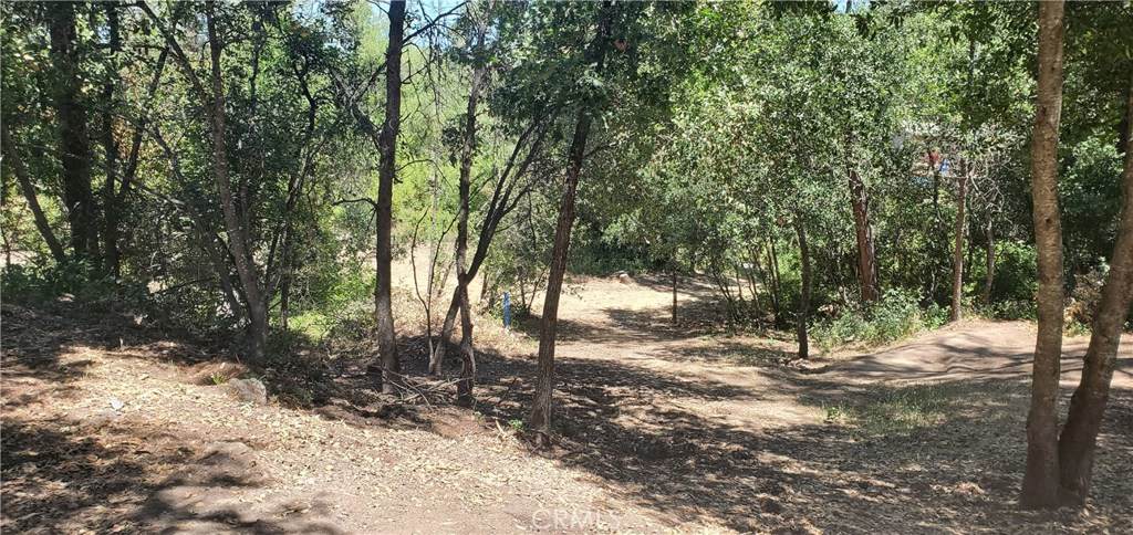5529 Sunrise Drive - Photo 1