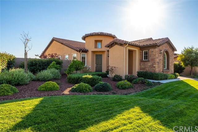 1437 Trail View Place - Photo 1
