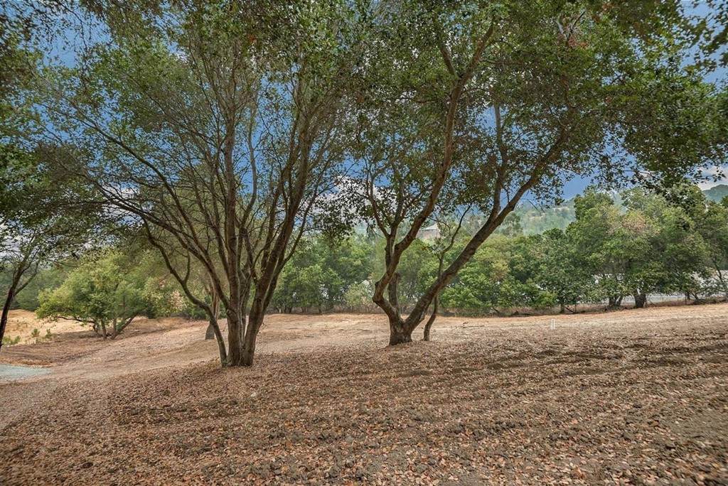 27360 Elena Road - Photo 1