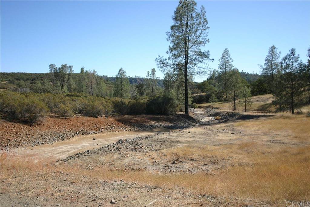 23280 Jerusalem Grade - Photo 1