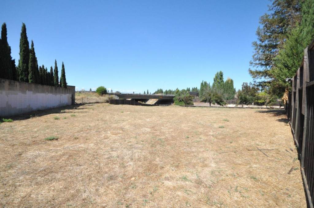 1981 Mandan Court - Photo 1