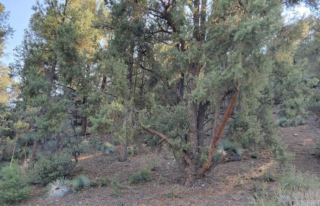 1800 Matterhorn Drive - Photo 1