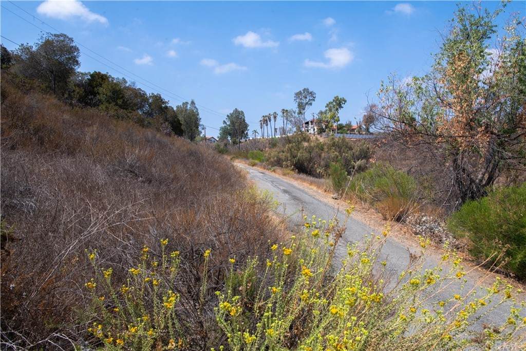 8020 Weirick Road - Photo 1