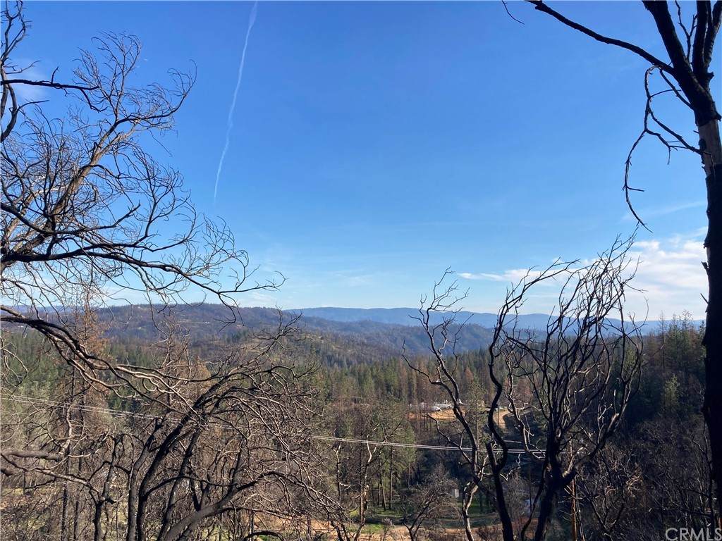 191 Ruiz Road - Photo 1