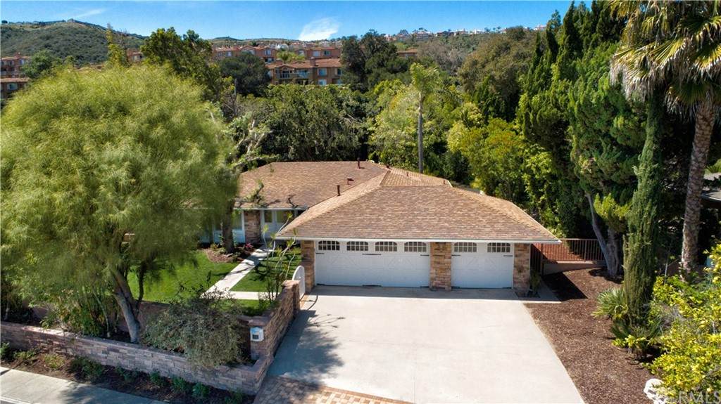 30691 Paseo Del Niguel - Photo 1