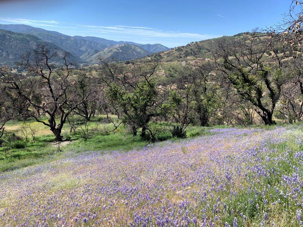 0 Cachagua - Photo 1