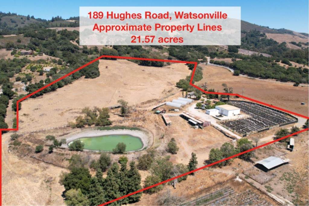 189 Hughes Road - Photo 1