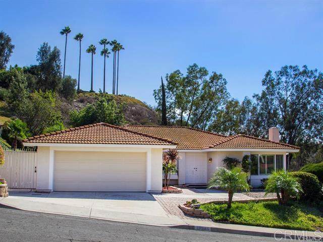 12245 Escala Drive - Photo 1