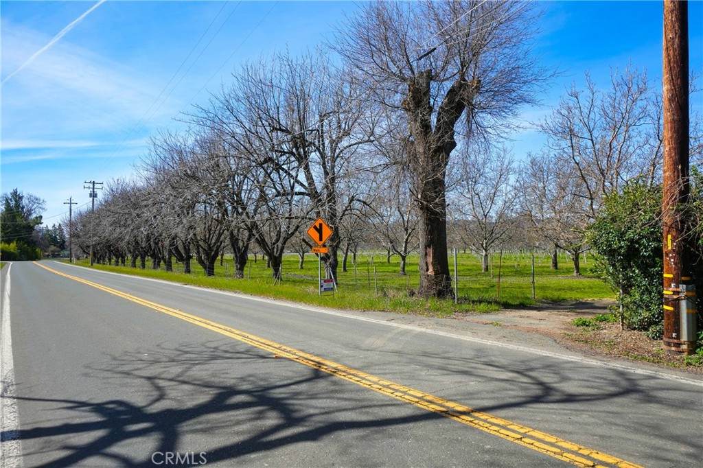 9835 Elk Mountain Road - Photo 1