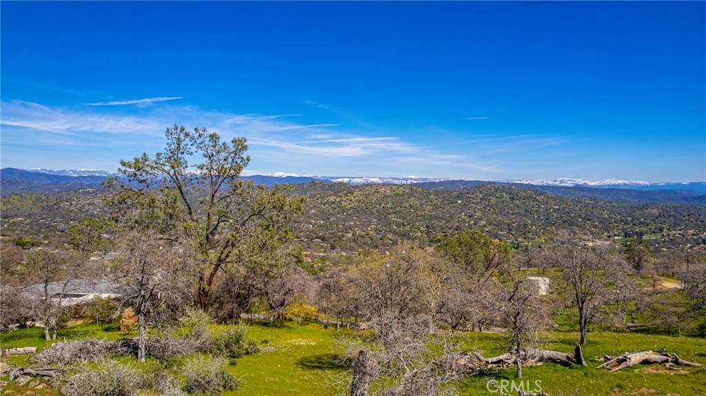 0 John Muir Drive - Photo 1