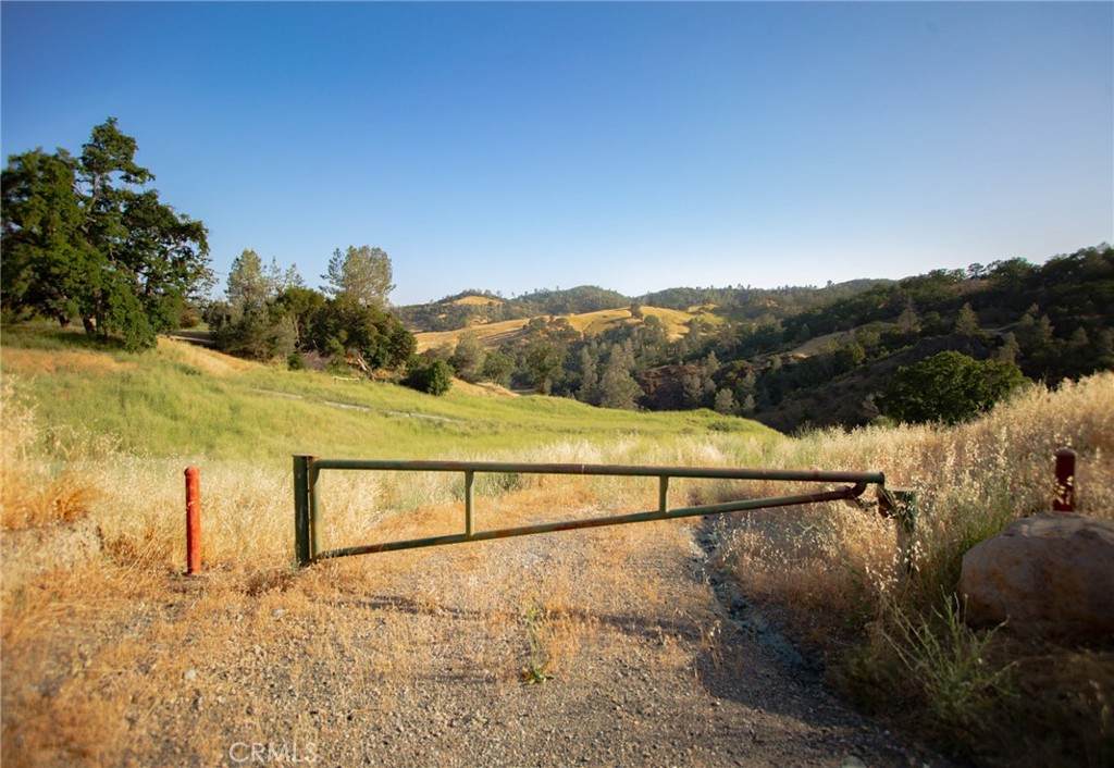 20325 Morgan Valley Road - Photo 1