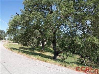 9025 Junipero Avenue - Photo 1