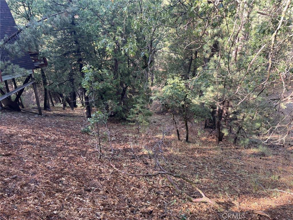 0 Tulip Lane - Photo 1