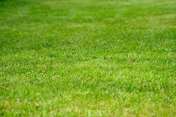 0 Vac/96 Ste/Vic Avenue Y2 - Photo 1