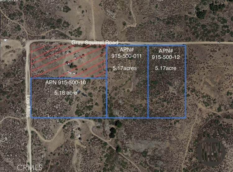 12 Lot 10, 11, 12 Grey Squirrel/Arcola Rd - Photo 1