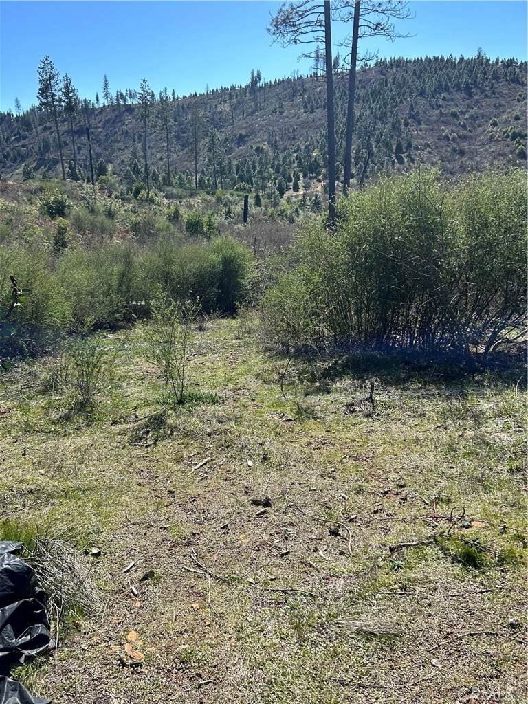 1234 Hog Ranch Rd - Photo 1