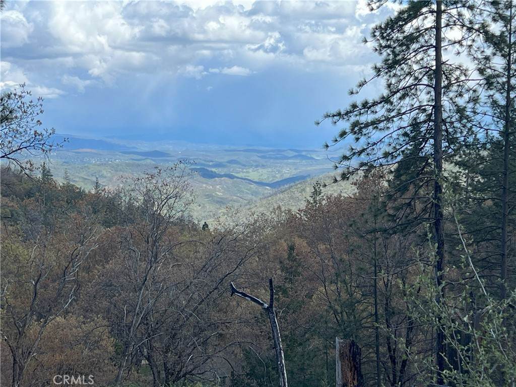 11256 Loch Lomond Road - Photo 1