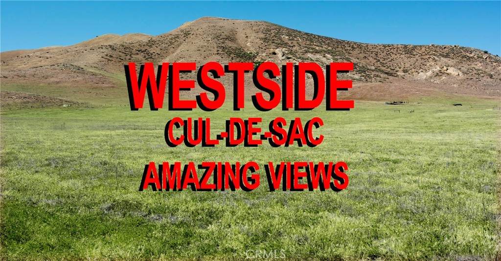 11859 Crest Park Trail - Photo 1