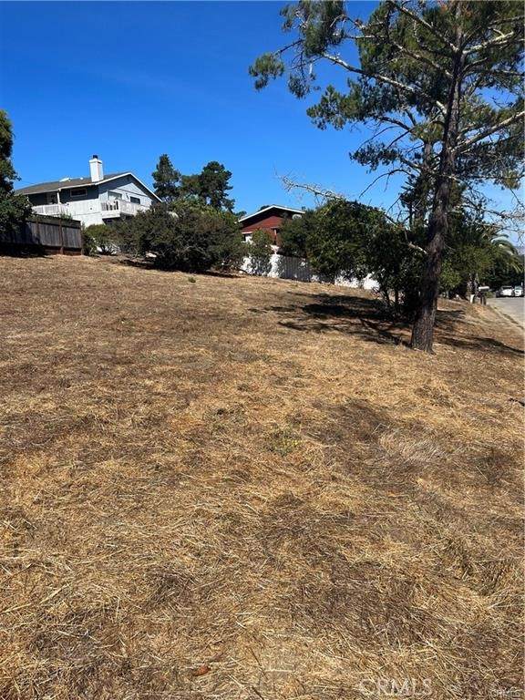 2333 Mccabe Drive - Photo 1