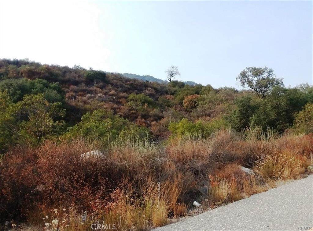 0 Carancho Road - Photo 1