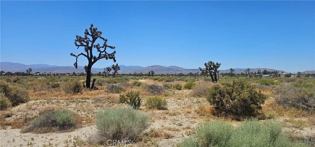 0 Palmdale Boulevard - Photo 1