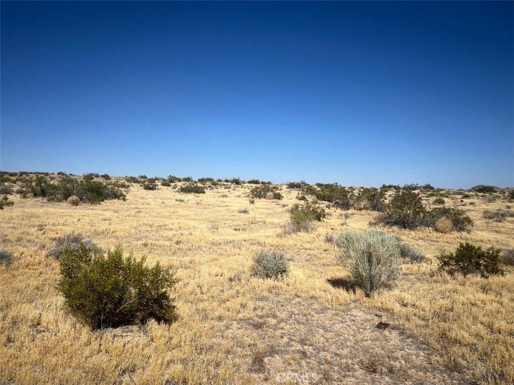 0 175th Street - Photo 1