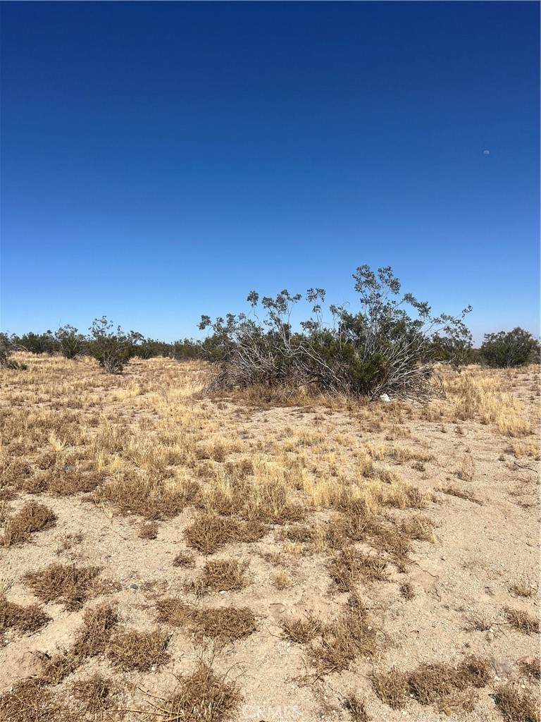 188 Avenue G - Photo 1