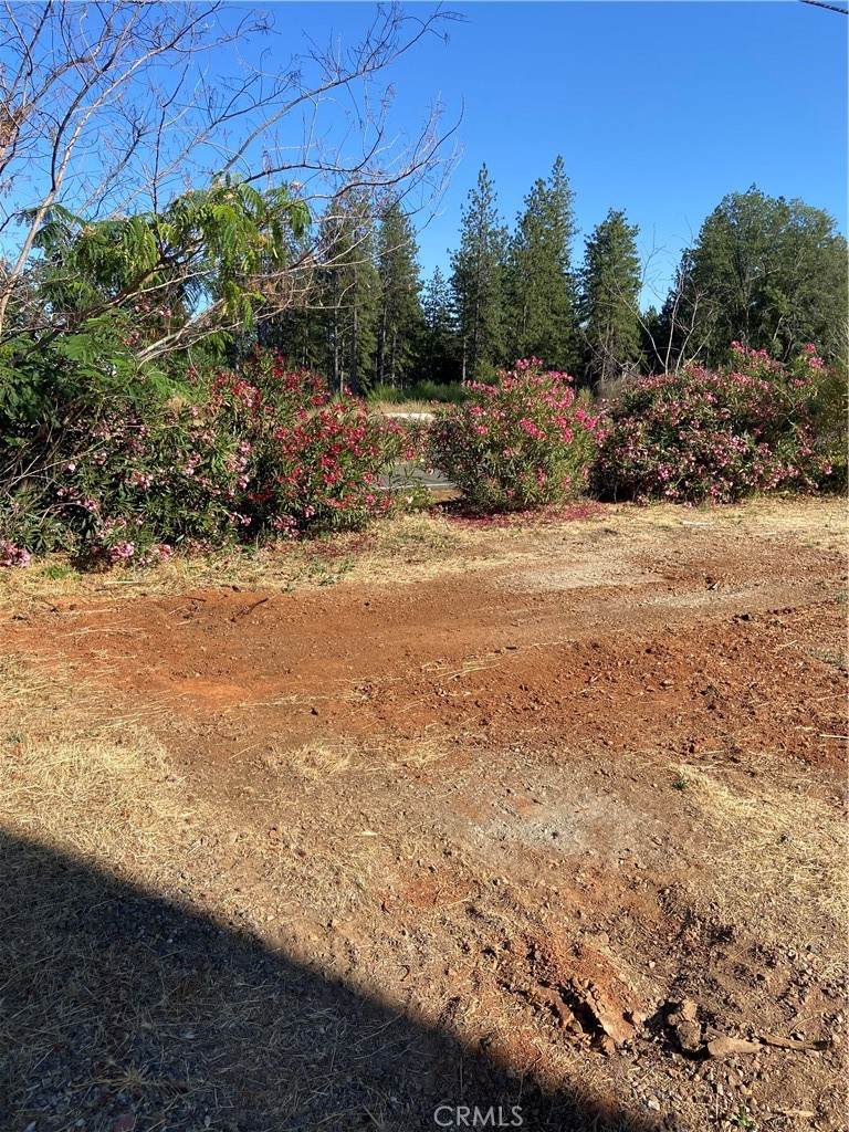 8899 Skyway - Photo 1