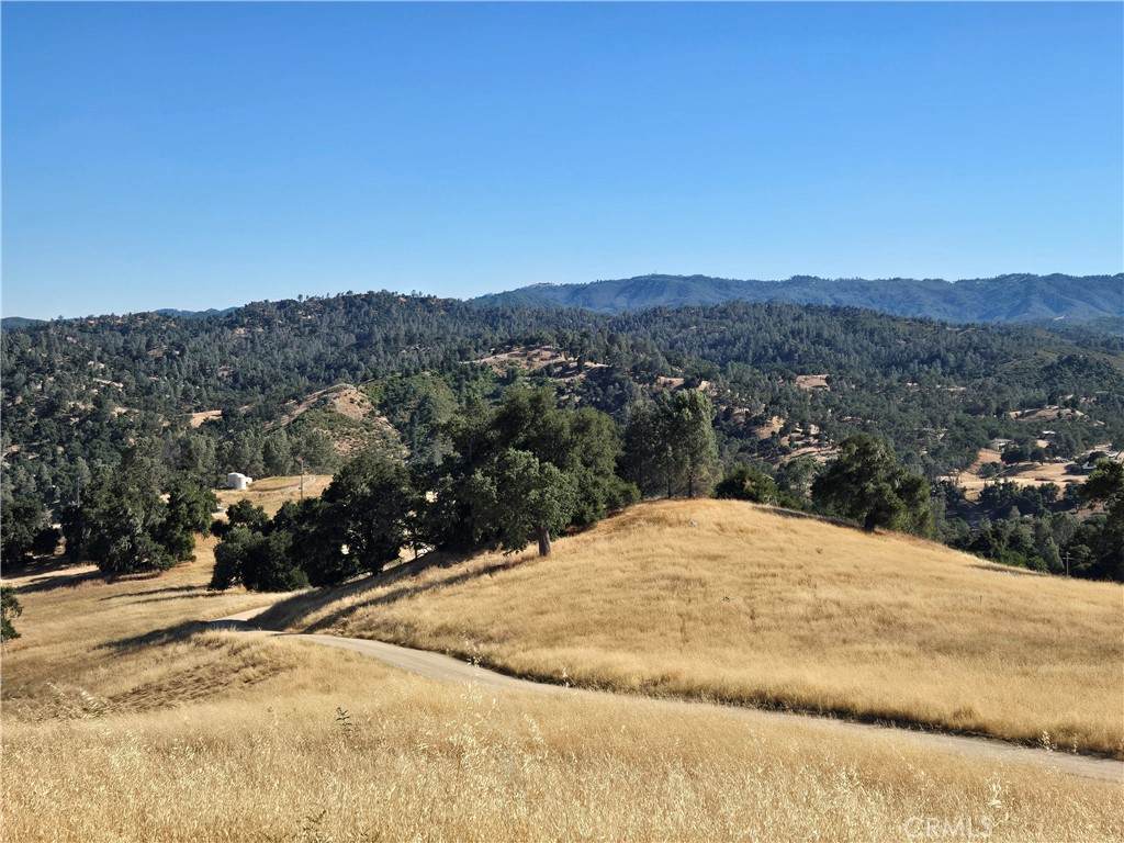 21 Lynch Canyon - Photo 1