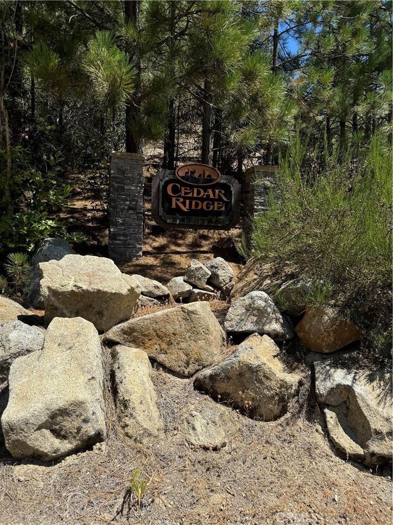 8 Cedar Vista Circle - Photo 1