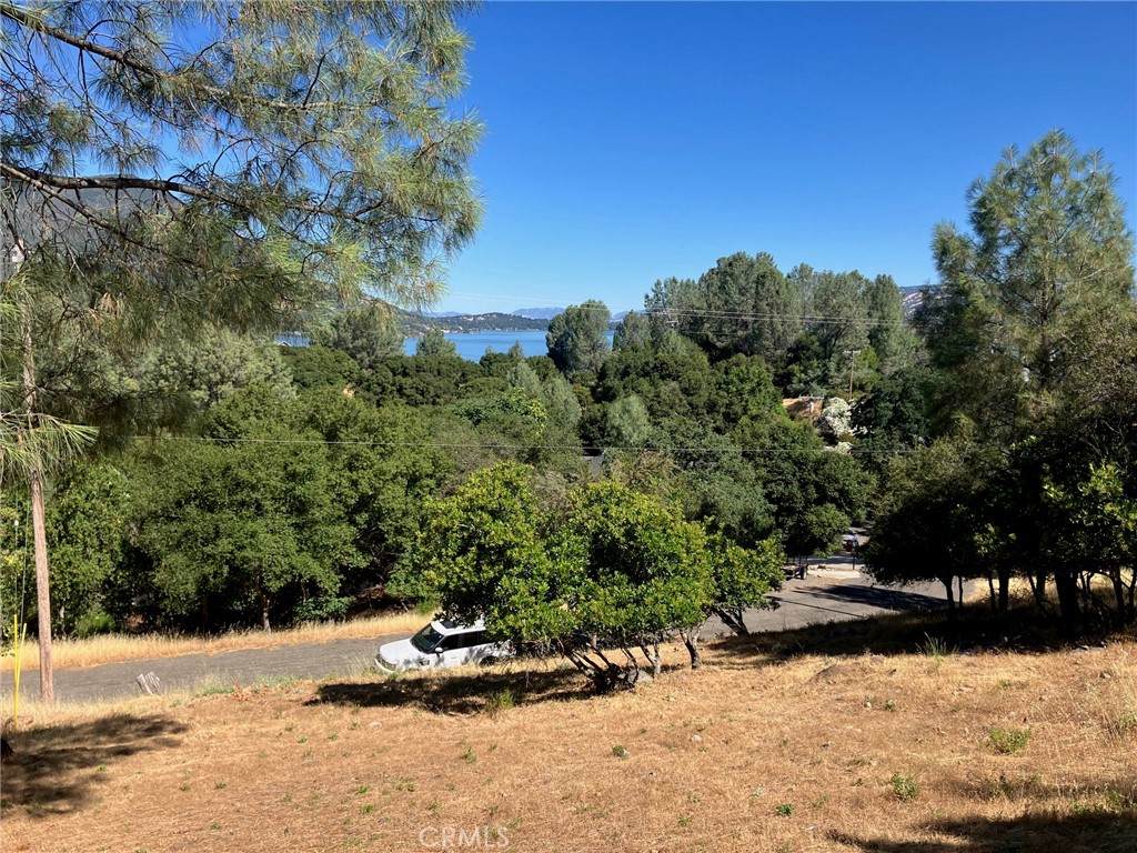 10650 Edgewater Drive - Photo 1