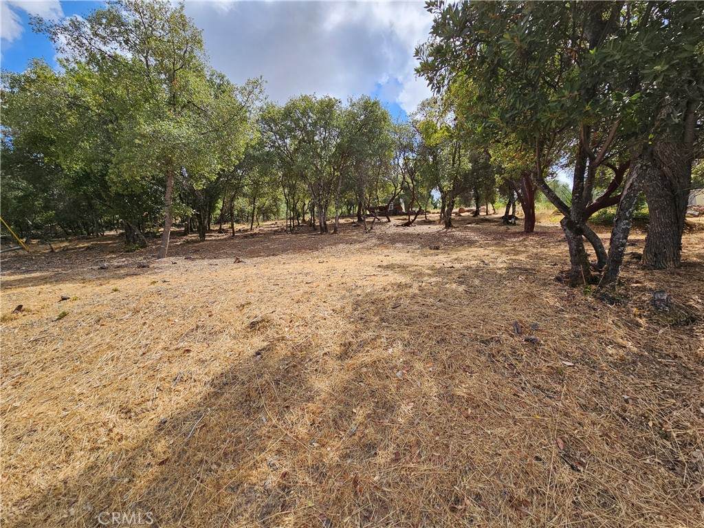 9599 Timberline Court - Photo 1