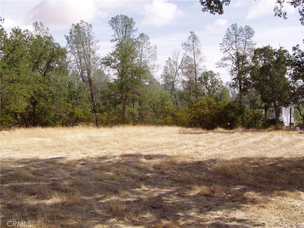 15838 El Dorado Drive - Photo 1