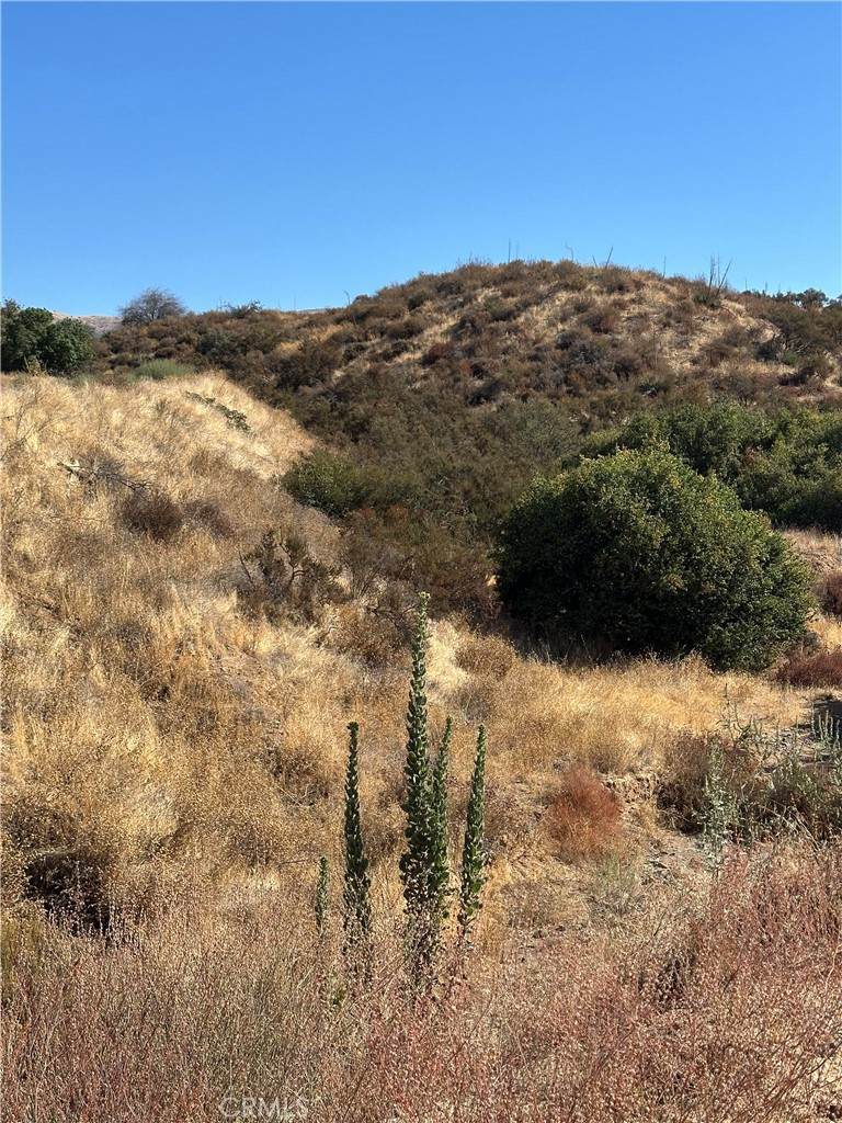 0 Koontz Road - Photo 1
