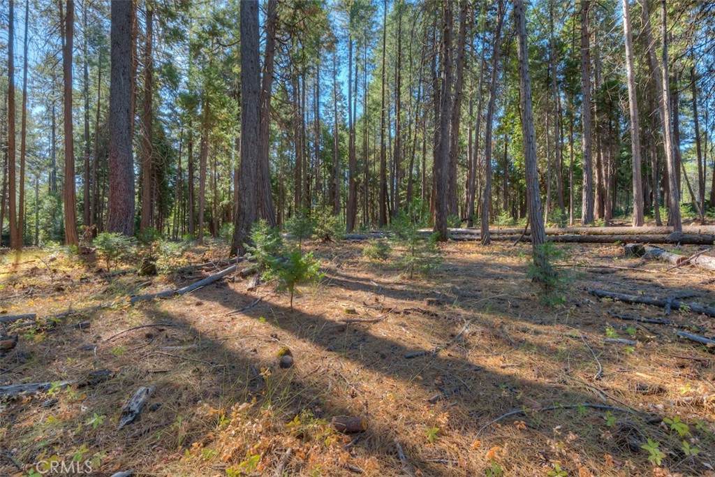 0 Fern Glenn Way - Photo 1