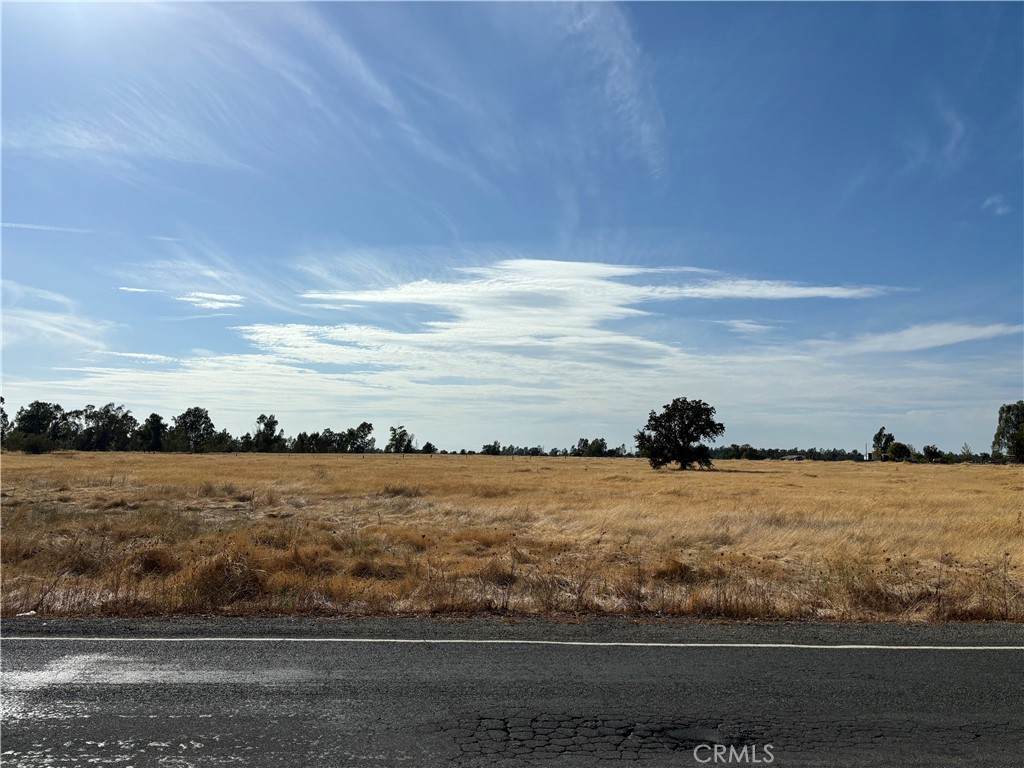 0 Palermo Honcut Hwy - Photo 1