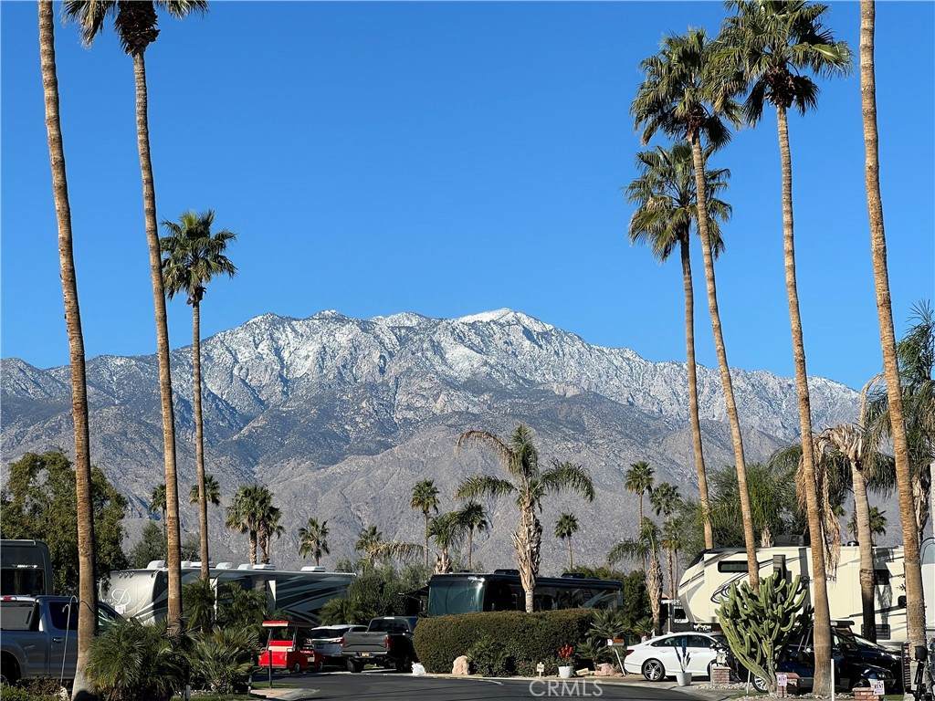 69411 Ramon Lot1173 Road - Photo 1