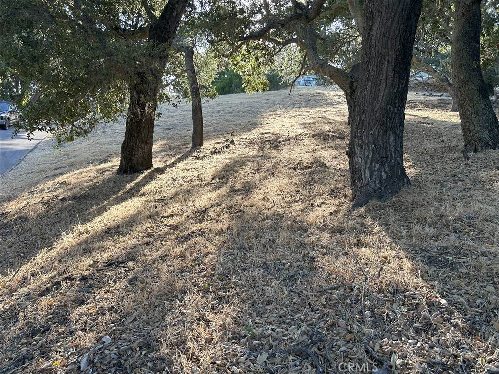 5755 Encino - Photo 1