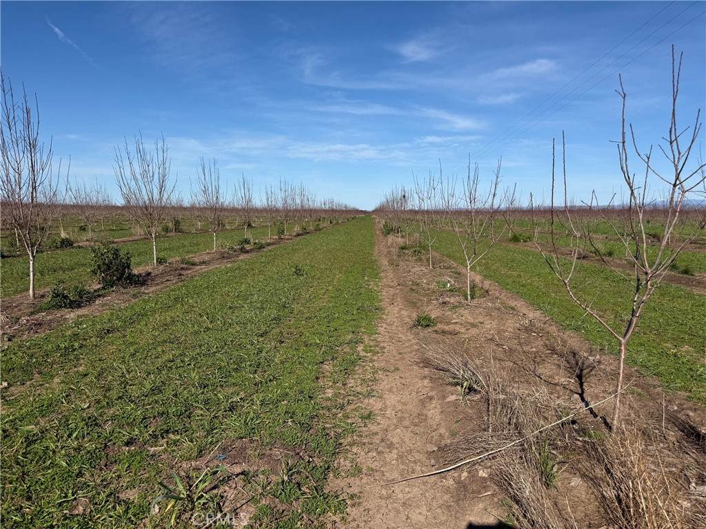 0 Cana Highway - Photo 1