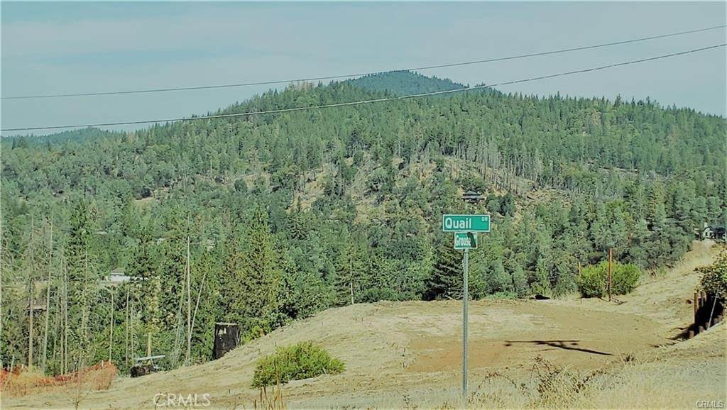 14765 Grouse Road - Photo 1