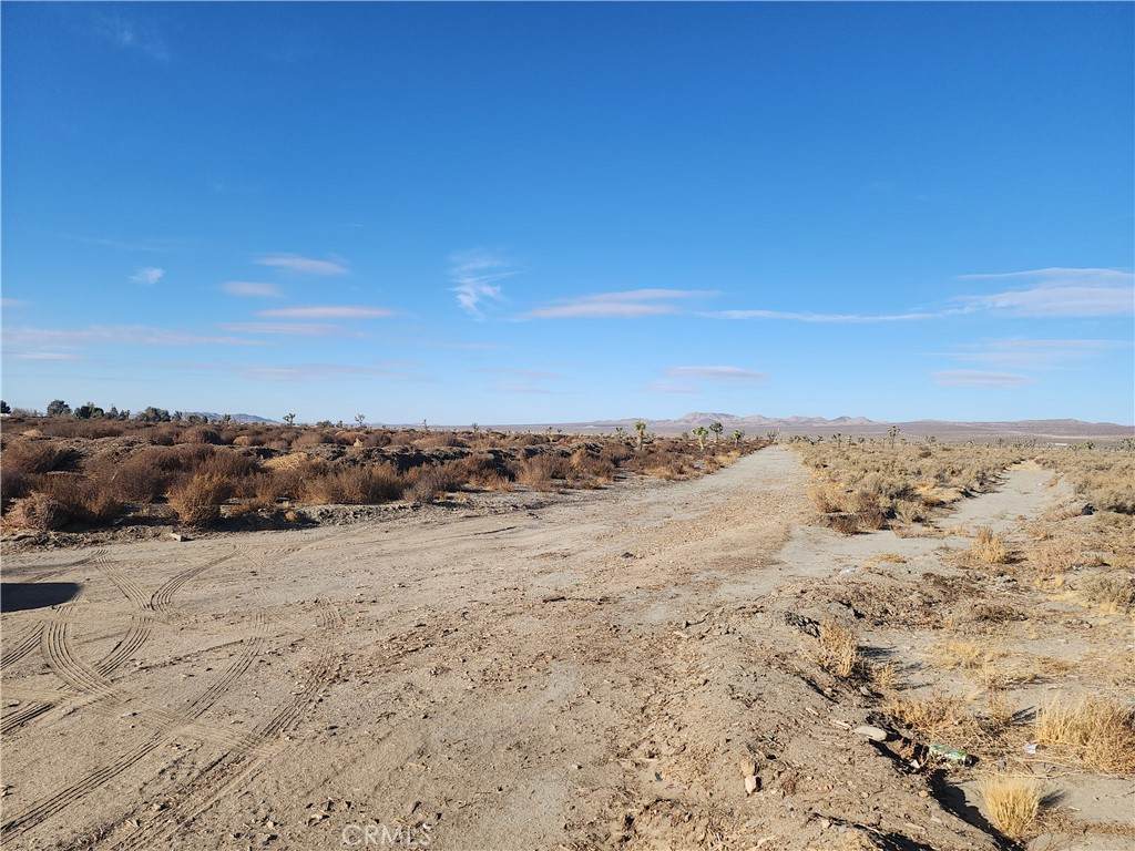10000 El Mirage Road - Photo 1