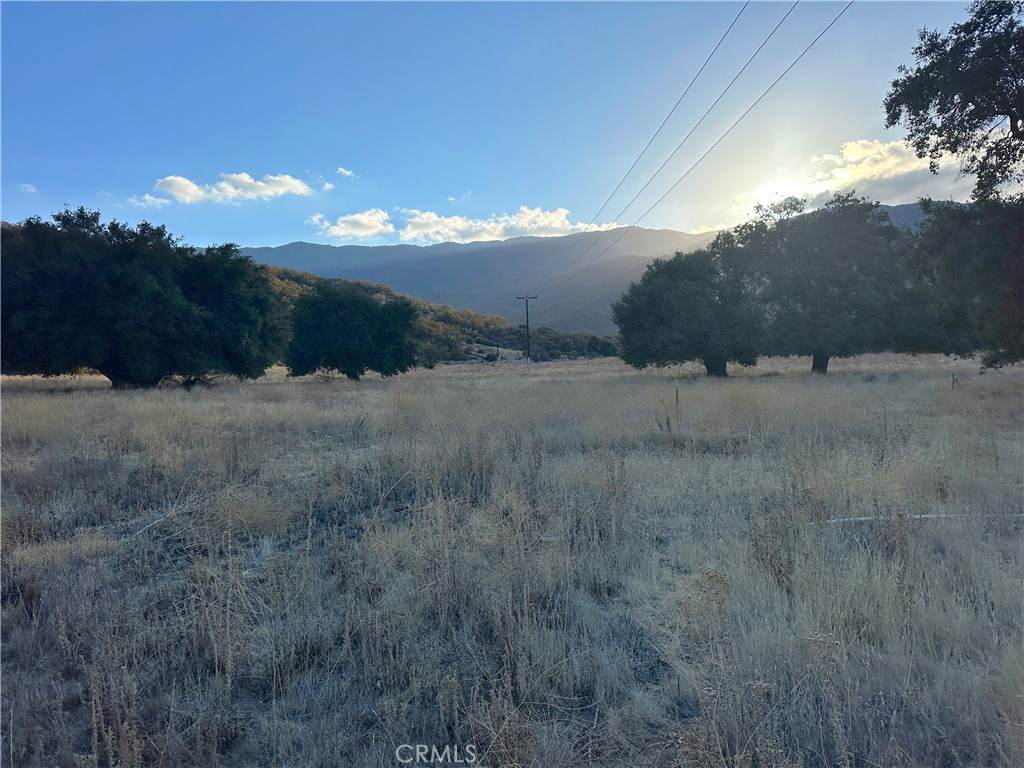 37270 Highway 79 - Photo 1