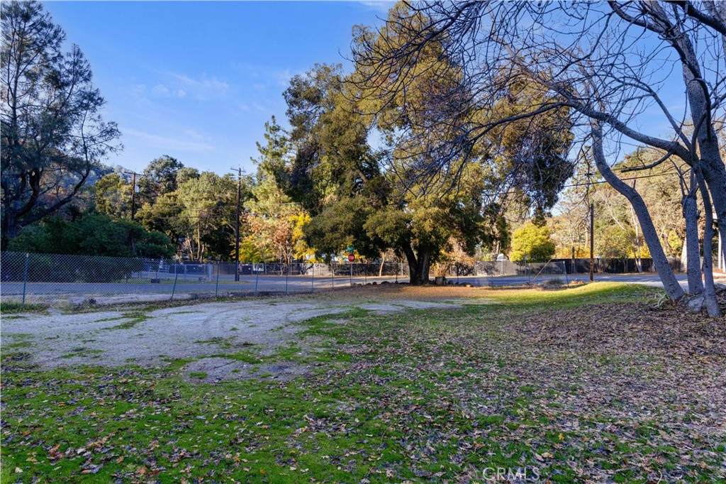 6435 Soda Bay Road - Photo 1
