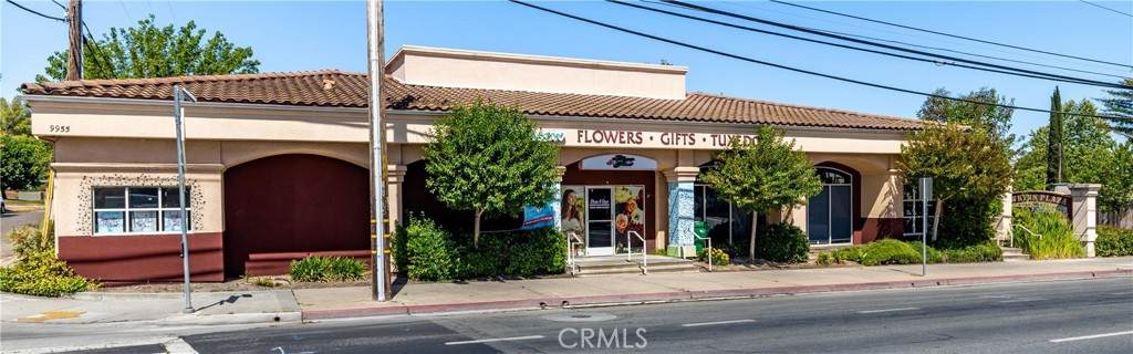 9955 El Camino Real - Photo 1